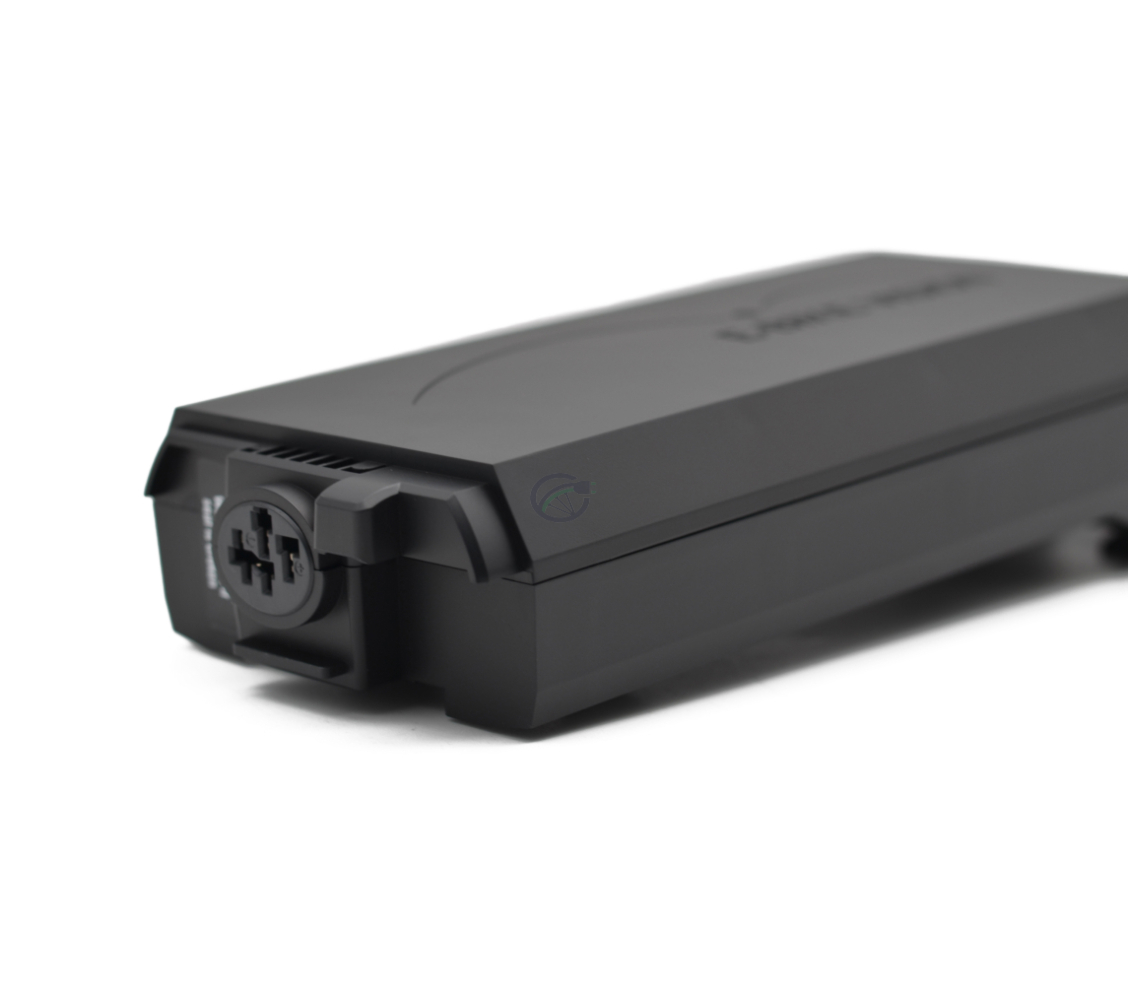 Bosch PowerPack 360 | Performance/Active | Gepäckträger | von E-Bike Vision – Bild 6